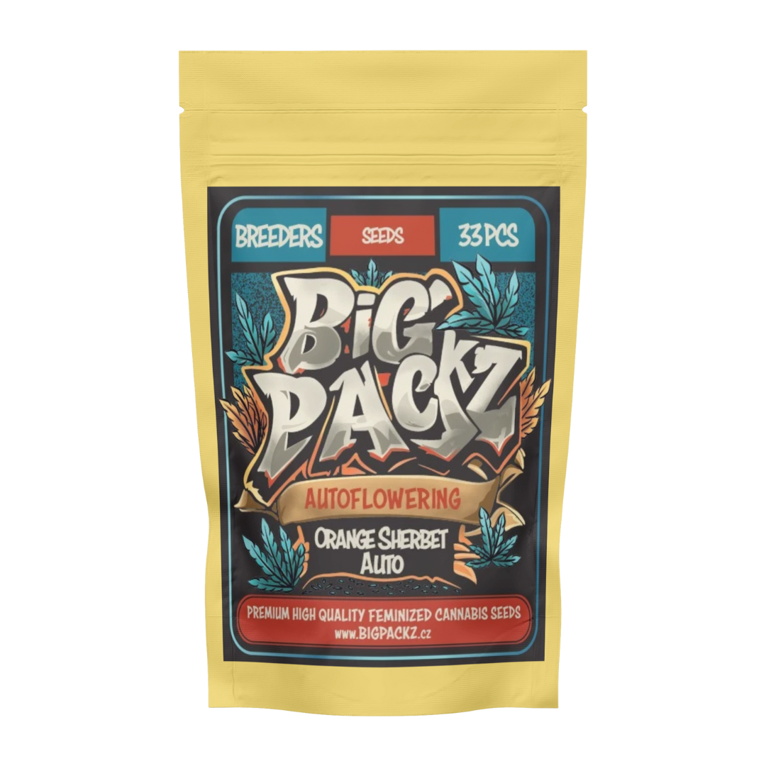 Big Packz, Orange Sherbet Auto 33 Stk