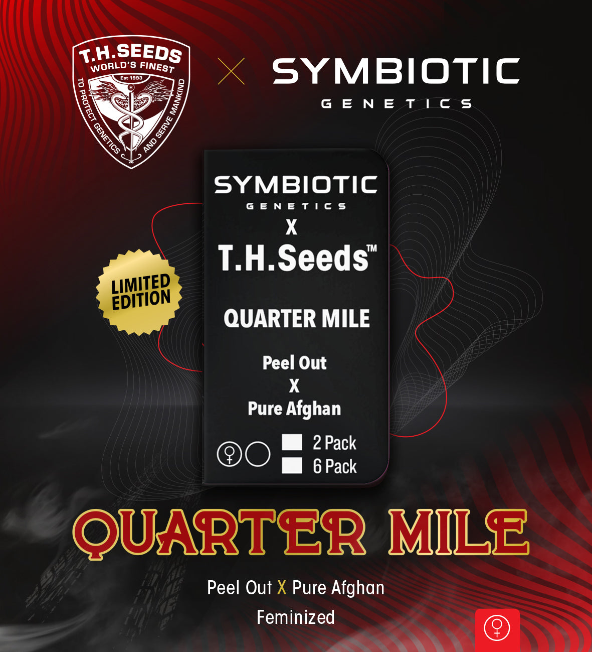 TH Seeds x Symbiotic Quarter Mile, Feminisiert, 6 Stk