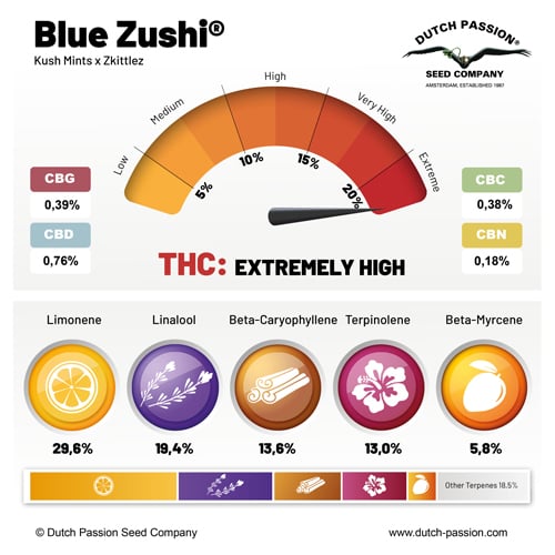 Dutch Passion Blue Zushi, Feminisiert, 5 Stk