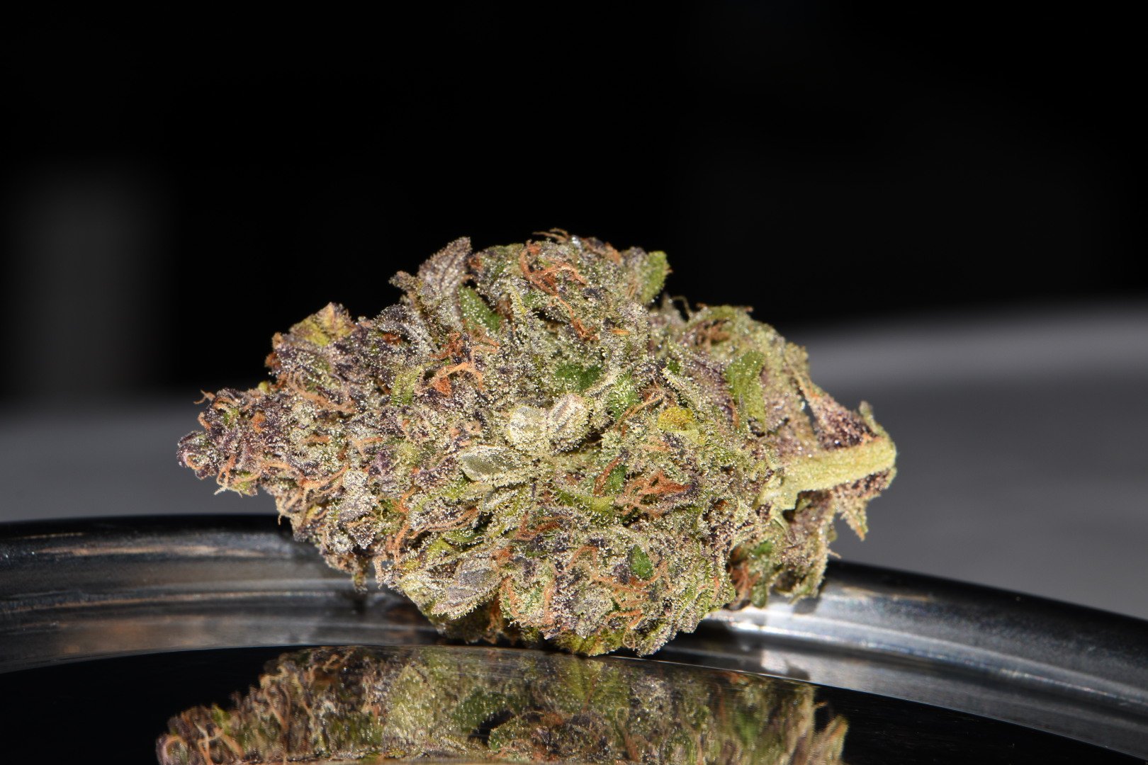 Fast Buds Smoothie Auto