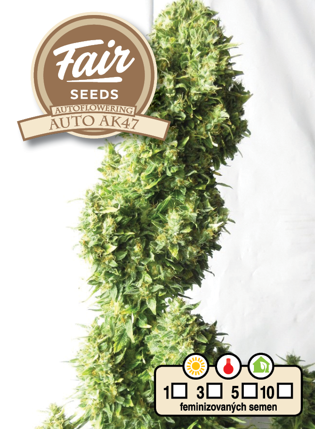 Fair Seeds Auto AK47