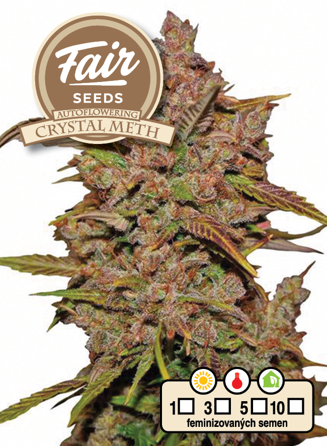 Fair Seeds Auto Crystal Meth
