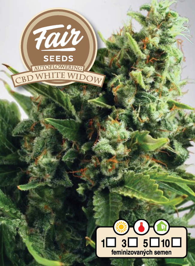 Fair Seeds Auto CBD White Widow