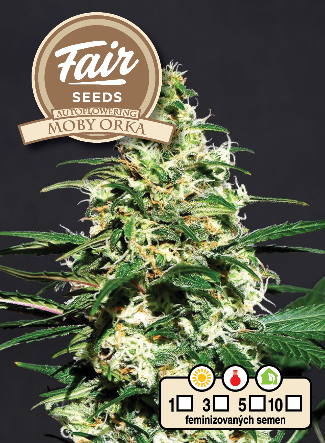 Fair Seeds Auto Moby Orka