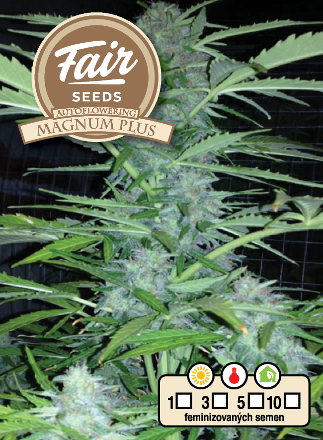 Fair Seeds Auto Magnum Plus