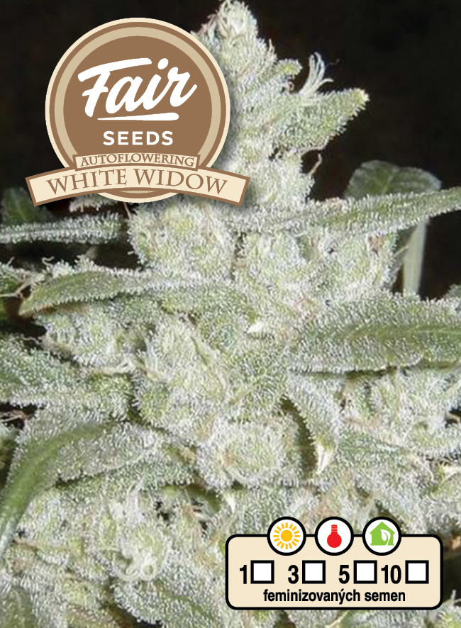 Fair Seeds Auto White Widow