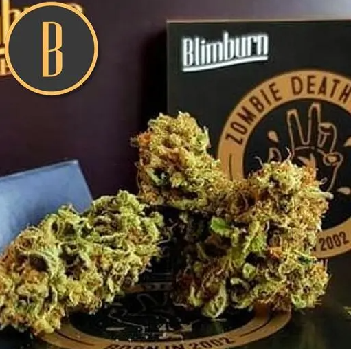 Blimburn Seeds Zombie Death Fuck Feminisiert