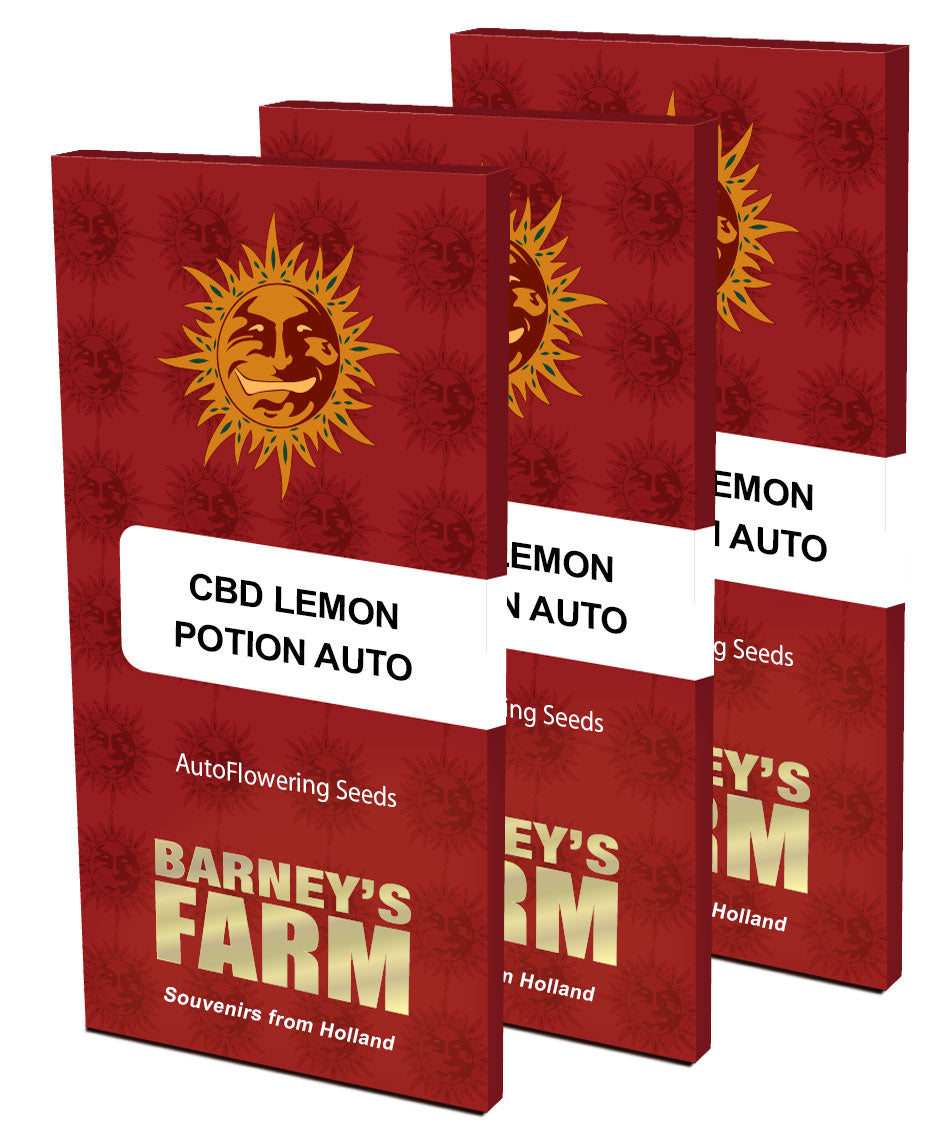 Barney's Farm CBD Lemon Potion Auto Feminisiert Autoflower
