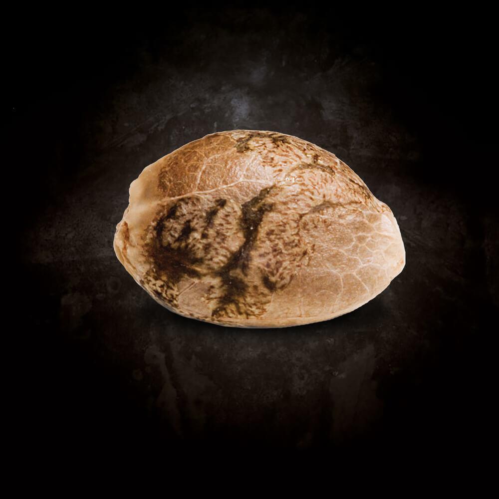 Paradise Seeds Vertigo Auto