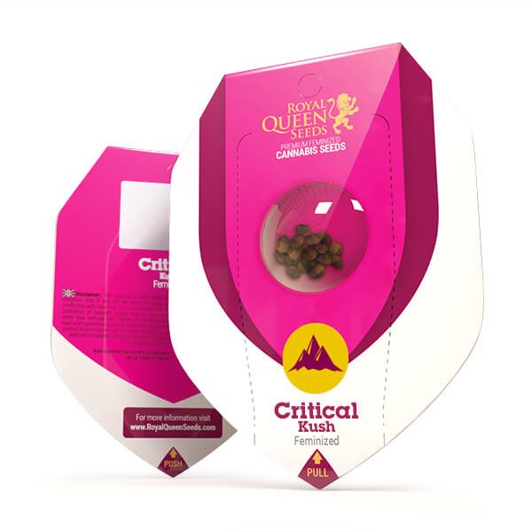 Royal Queen Seeds Critical Kush Feminisiert