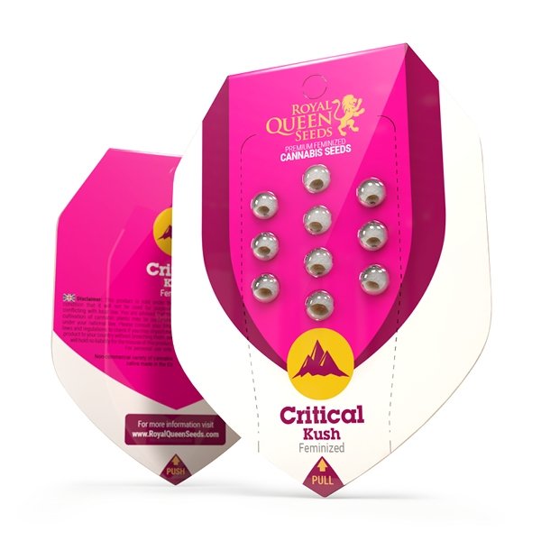Royal Queen Seeds Critical Kush Feminisiert