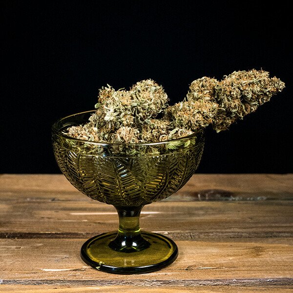 Royal Queen Seeds Green Gelato Automatic