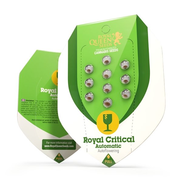 Royal Queen Seeds Royal Critical Automatic