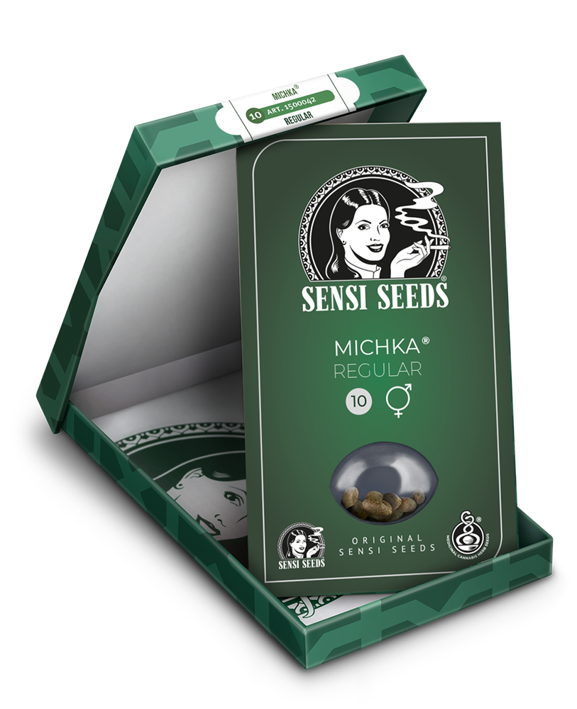 Sensi Seeds Michka, Regular Regular