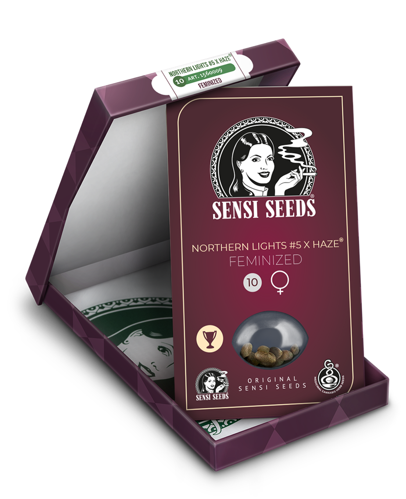 Sensi Seeds Northern Light #5 x Haze feminisiert