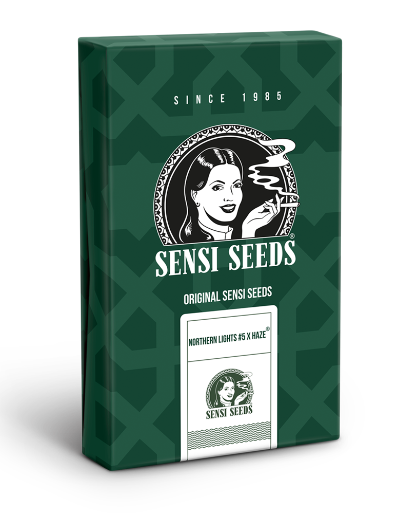 Sensi Seeds Northern Light #5 x Haze Regular