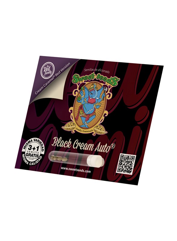 Sweet Seeds Auto Black Cream Feminisierte Autoflower