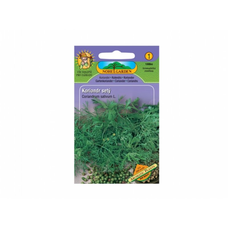 Medizinischer Lavendel - Levandula angustifolia
