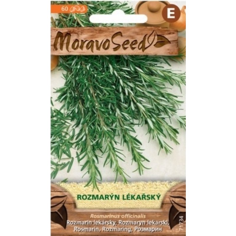 Medizinischer Rosmarin - Rosmarinus officinalis LLL