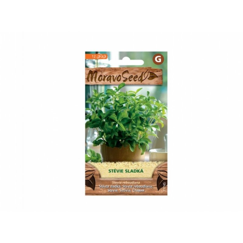 Süßes Stevia – Stevia rebaudiana