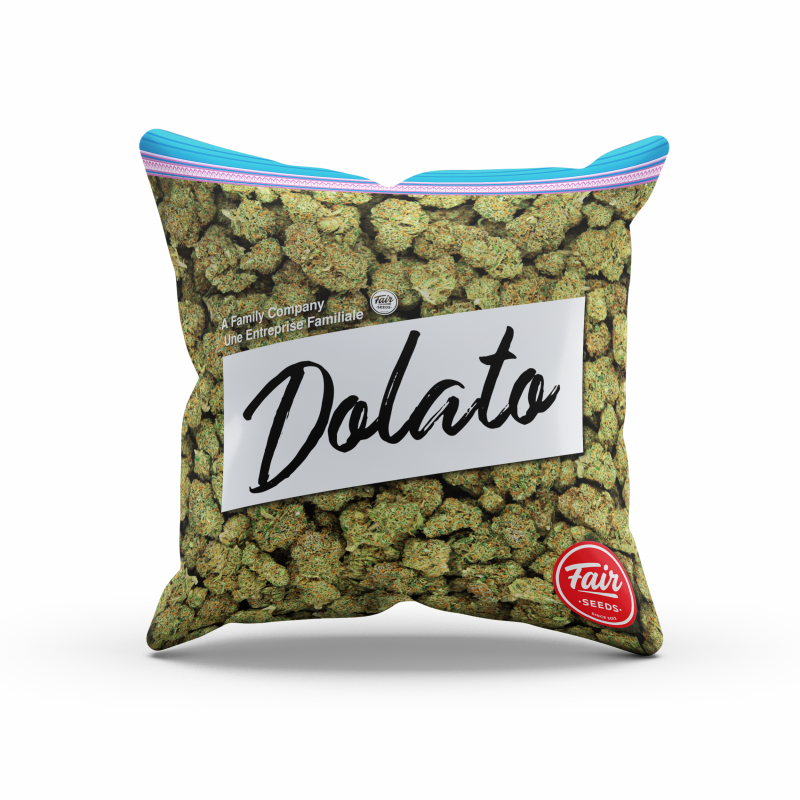Fair Seeds Dolato Kissen 38 x 38 cm