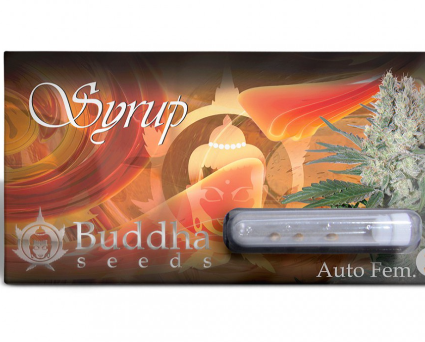 Buddha Seeds Syrup Auto