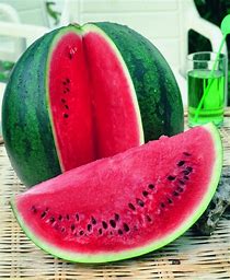 Wassermelone Lajko II. F1