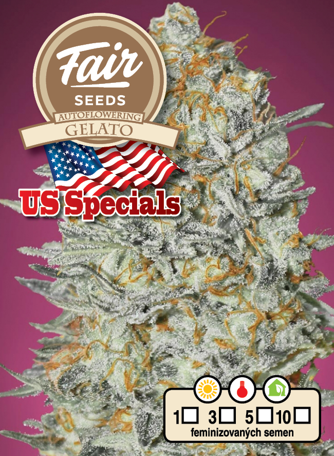 Fair Seeds Auto Gelato