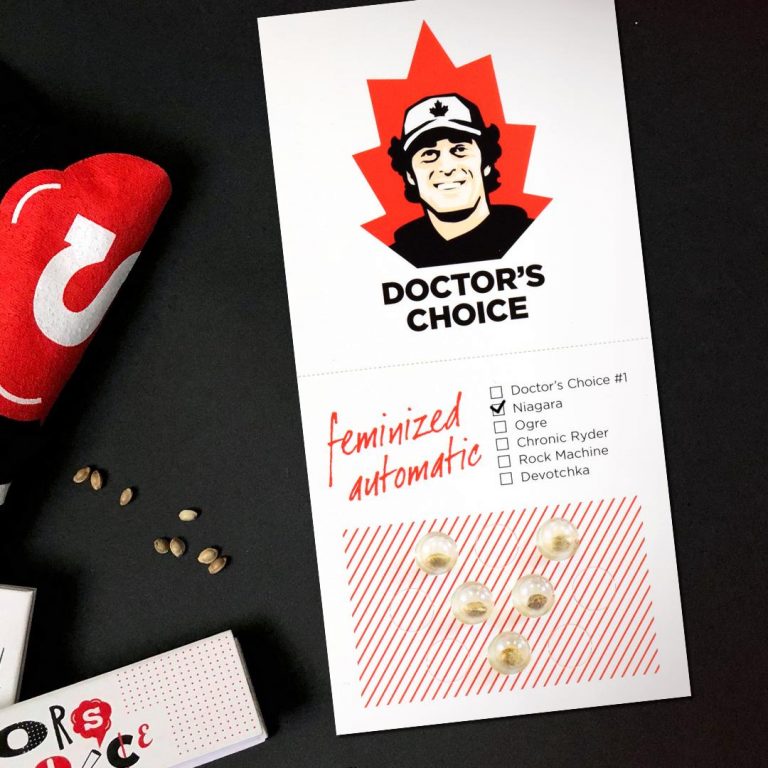 Doctor's Choice Niagara Auto