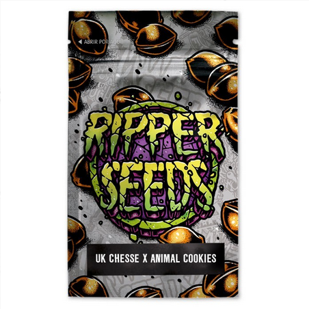 Ripper Seeds, Limited Edition Amnesia Haze x Zombie Kush, Feminisiert, 3 Stk