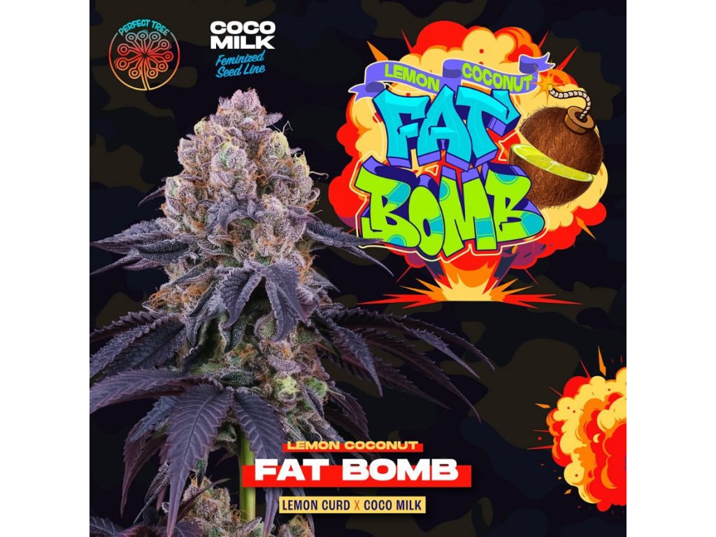 Perfect Tree Seeds, Fat Bomb, Feminisiert, 6 Stk
