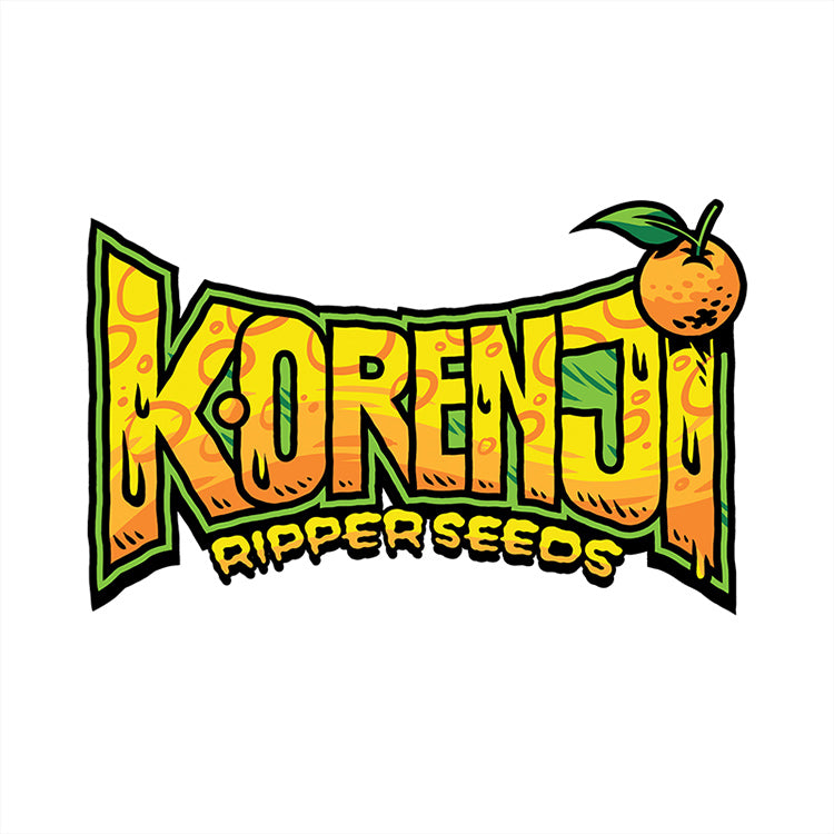 Ripper Seeds, Korenji, Feminisiert, 1Stk