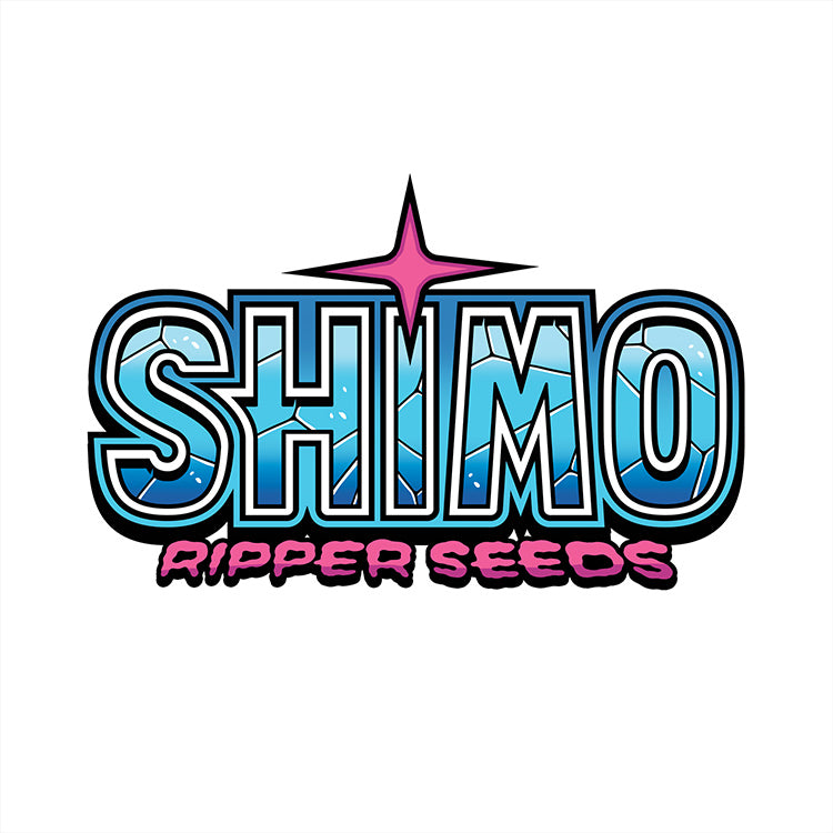 Ripper Seeds, Shimo, Feminisiert, 3 Stk