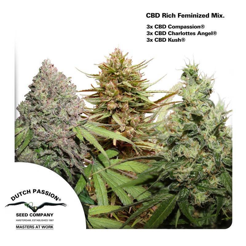 Dutch Passion CBD Rich Feminisiert Mix Feminisiert