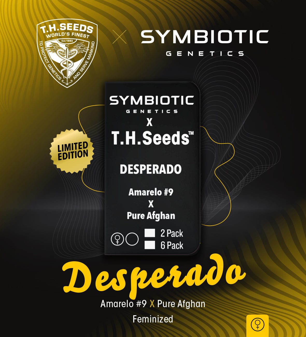 TH Seeds x Symbiotic Desperado, Feminisiert, 6 Stk