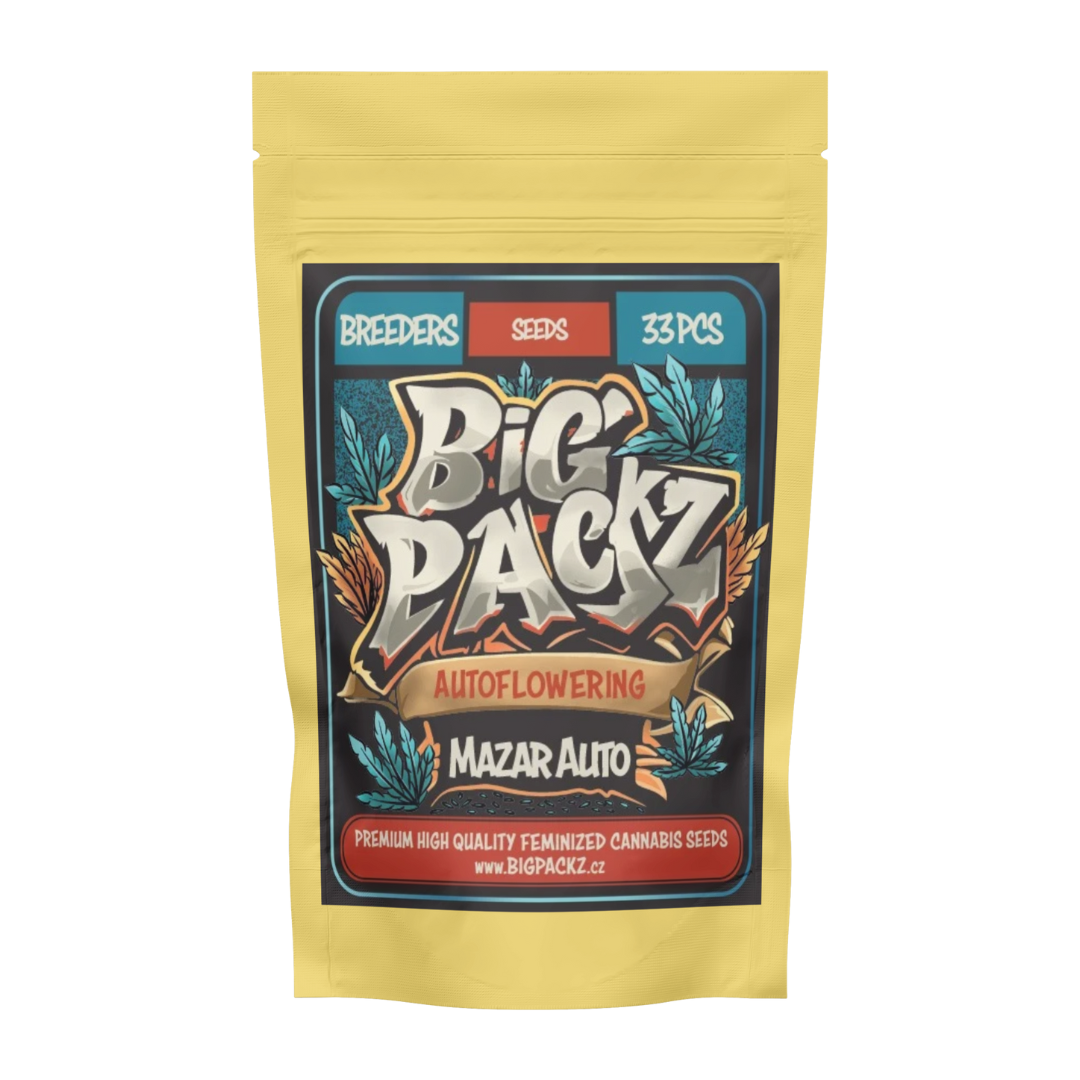 Big Packz, Mazar Auto 33 Stk