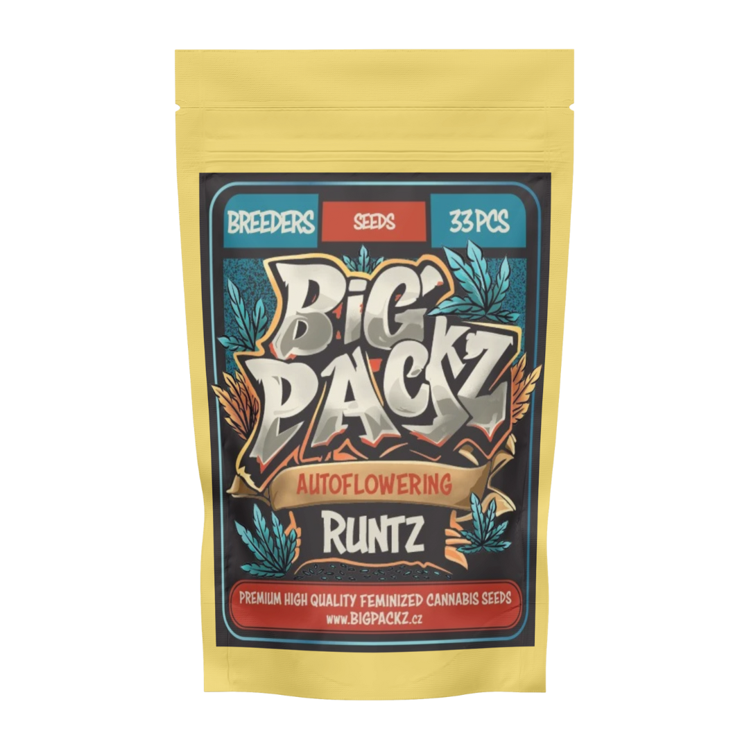 Big Packz Runtz Auto33 Stk