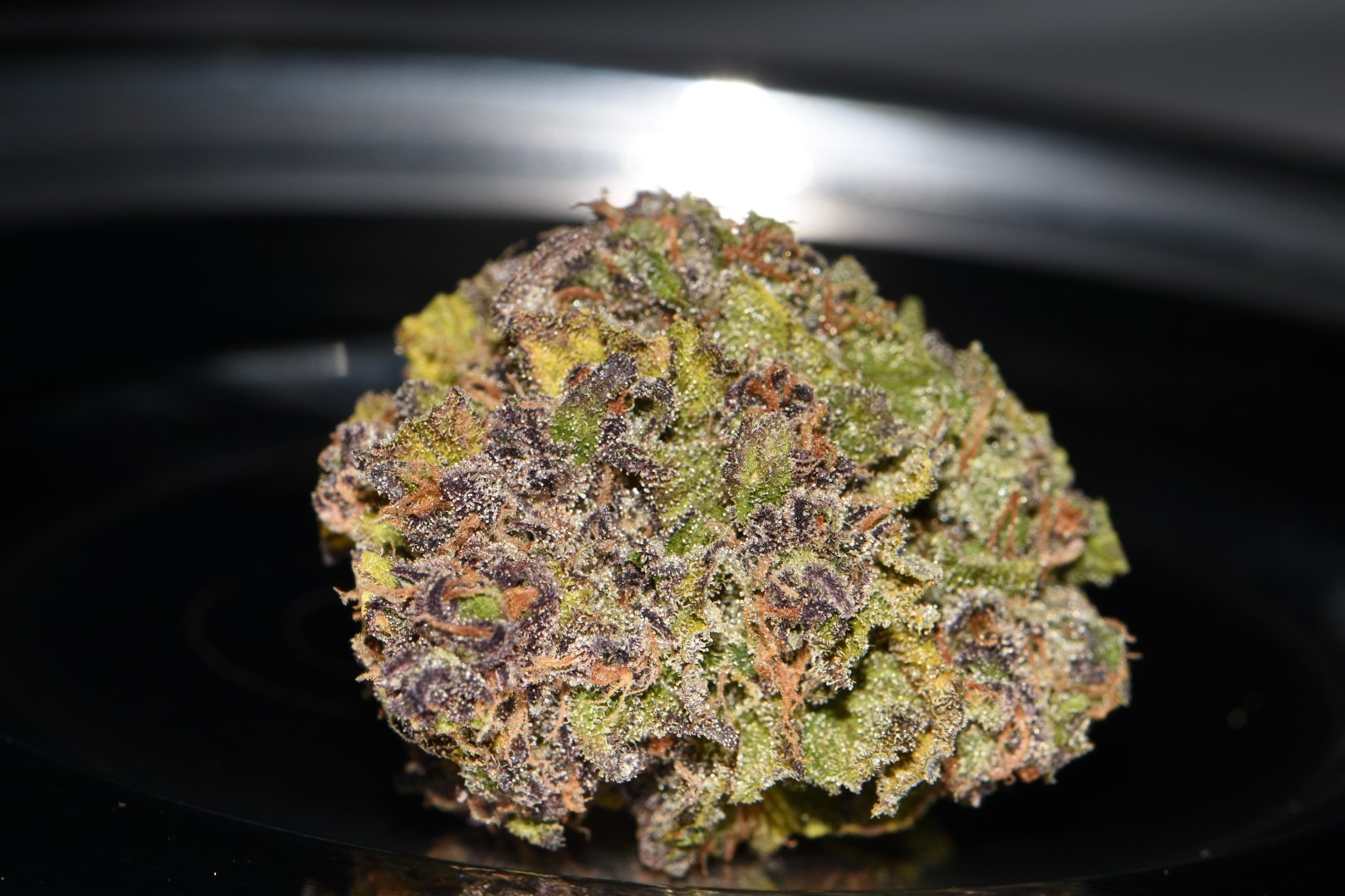 Fast Buds Smoothie Auto