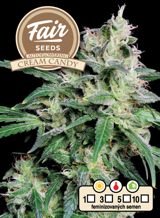 Fair Seeds Auto Cream Candy