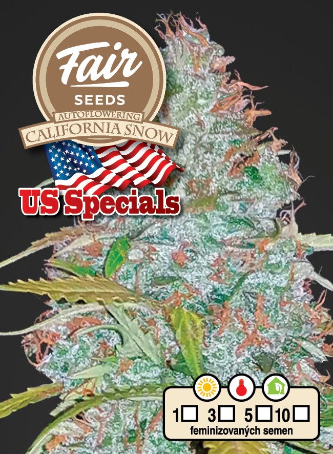 Fair Seeds Auto California Snow