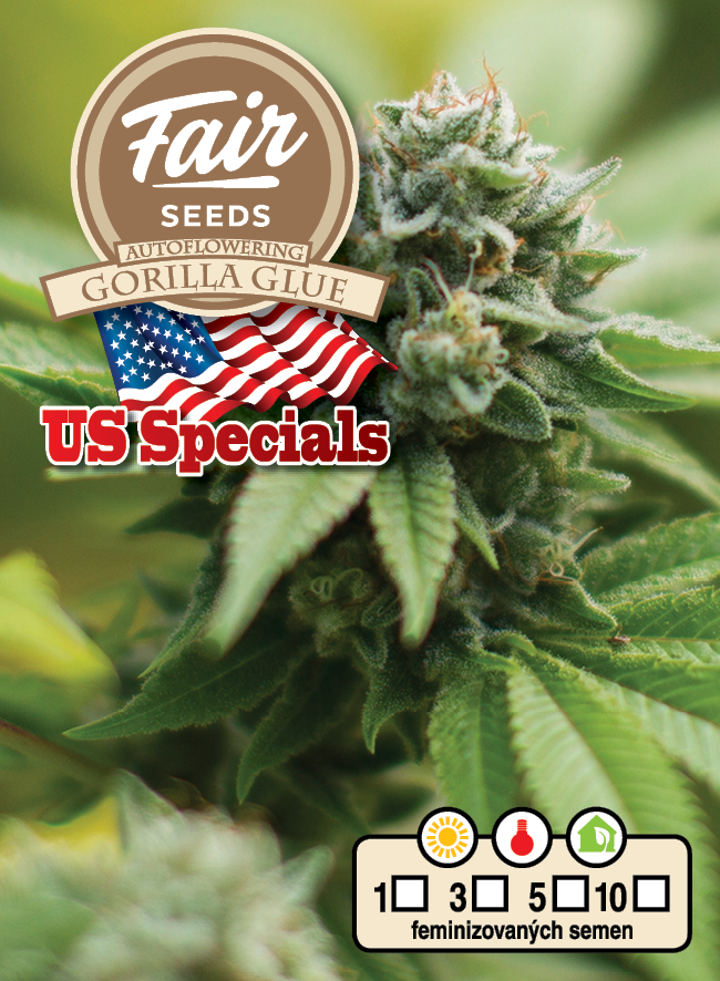 Fair Seeds Auto Gorilla Glue