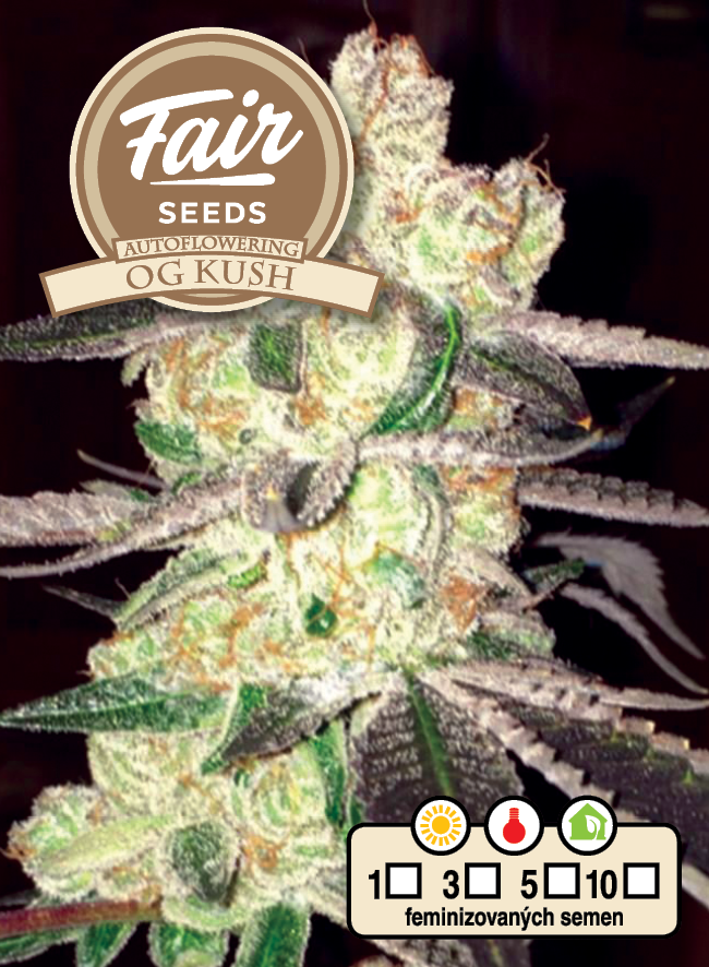 Fair Seeds Auto OG Kush