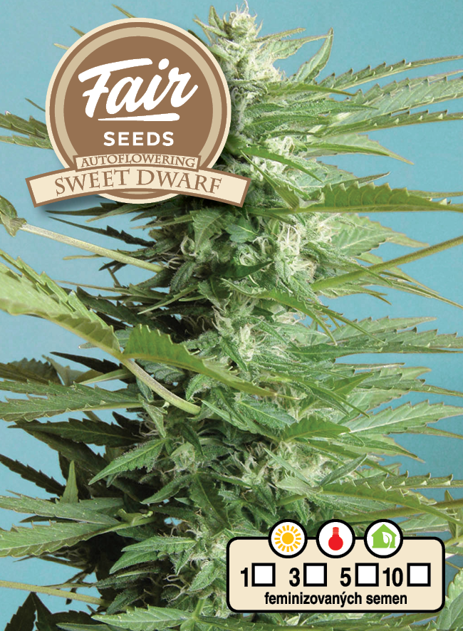 Fair Seeds Auto Sweet Dwarf