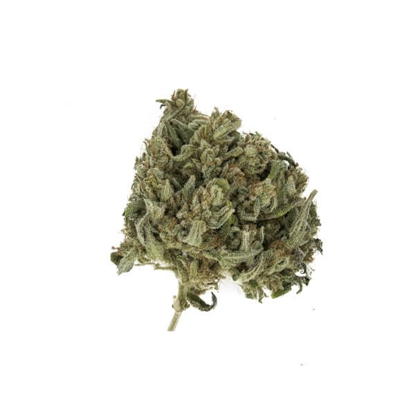 Royal Queen Seeds Royal Highness feminisiert