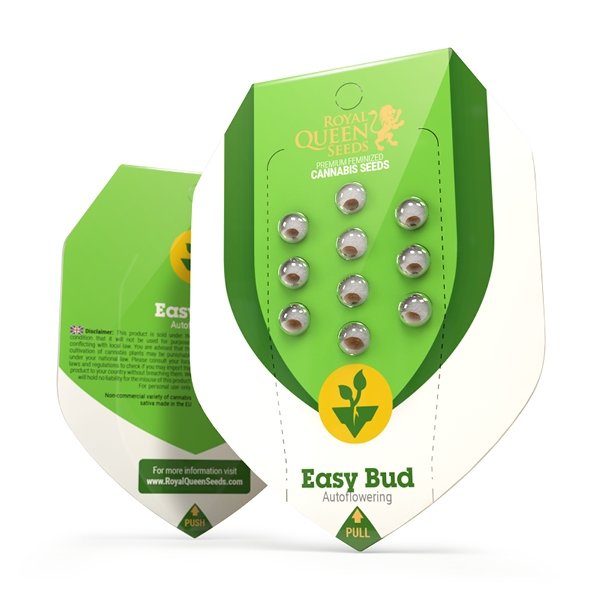 Royal Queen Seeds Easy Bud Auto