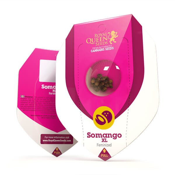 Royal Queen Seeds Somango XL feminisiert