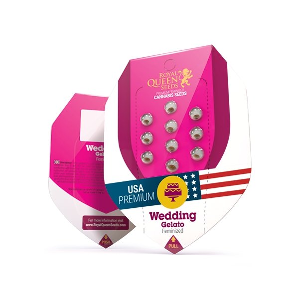 Royal Queen Seeds Wedding Gelato Feminisiert