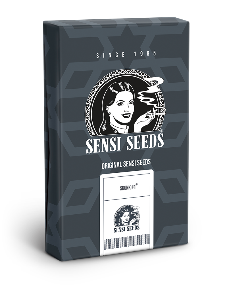 Sensi Seeds Skunk 1 Autoflowering