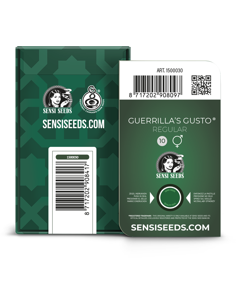 Guerrilla's Gusto Regular von Sensi Seeds