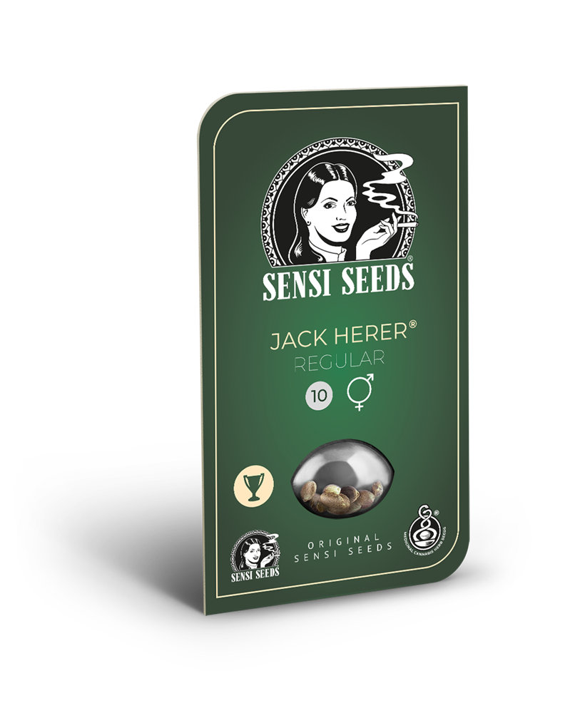 Sensi Seeds Jack Herer Regular
